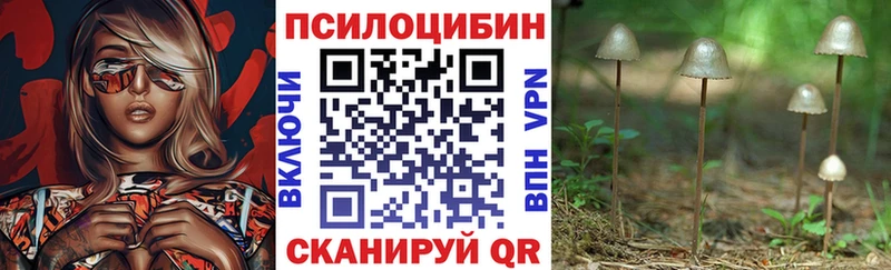 Псилоцибиновые грибы ЛСД Коммунар
