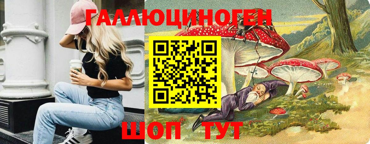 Галлюциногенные грибы Psilocybe Коммунар